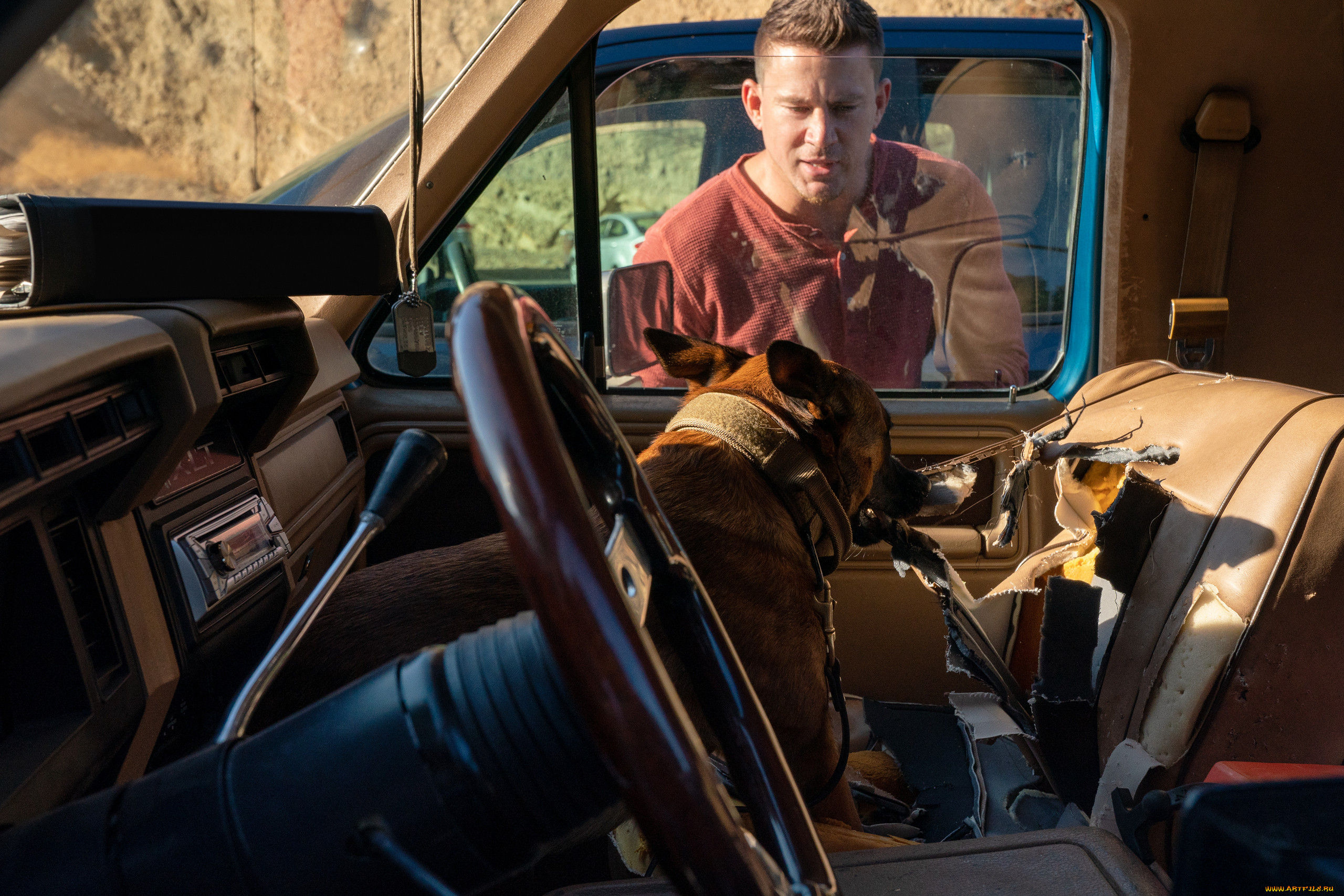 dog || 2022,  , dog, author, oreskis, channing, tatum, , , , , , , , , , 